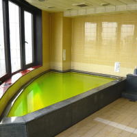 ホテルニュー魚眠荘